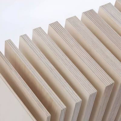 Birch Plywood in India