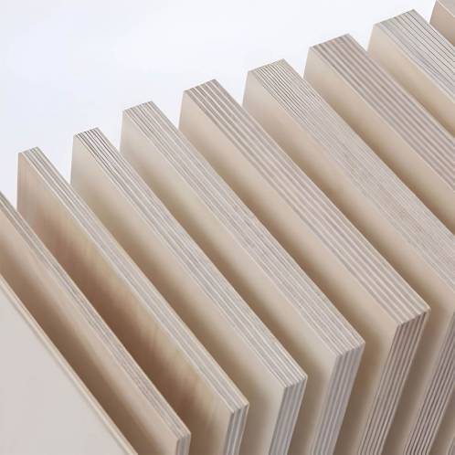 Birch Plywood Manufacturers in India